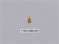 藏品(暗良苔蛾)的圖片